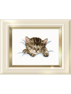 EMS ผังลาย Sleeping Kitty