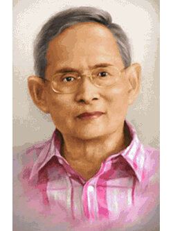 Pinn ในหลวง ร.๙