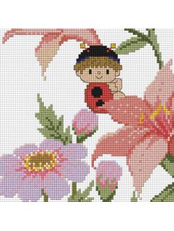 Pinn เต่าทองซ่อนหา