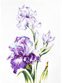 Luca-S ชุดปัก Irises