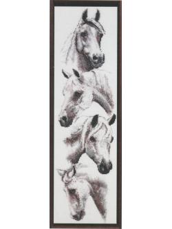 Janlynn ผังลาย White Horses