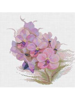 Pinn กล้วยไม้แคทลียา