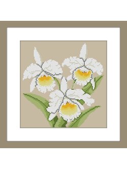 ชุดปักจีน White Orchids