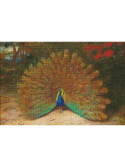 Heaven and Earth ผังลาย Peacock Thorburn