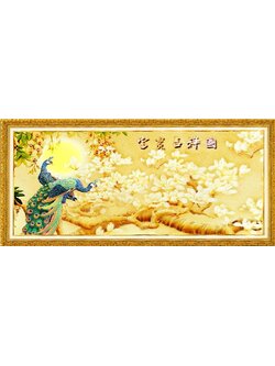 ชุดปักจีน Peacocks