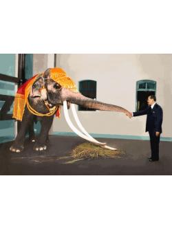 Pinn ช้างต้น คู่พระบารมี