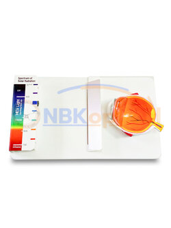 เครื่องทดสอบรังสีบลู Blue Ray (ใช้ถ่าน)