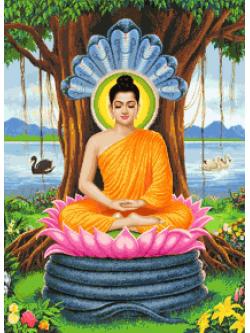 Pinn พระพุทธเจ้า