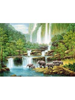 Pinn ช้างป่าริมน้ำตก