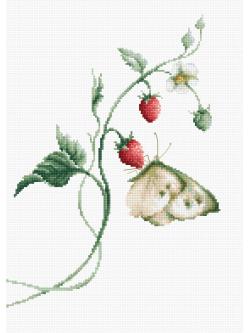 Luca-S Aroma of Summer