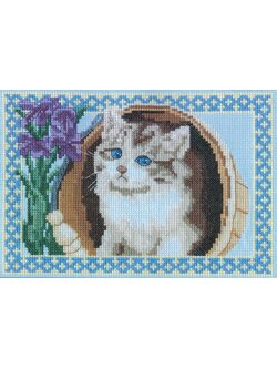 Pegasus ผังลาย Curoius Kitten