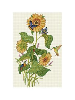 Pinn ทานตะวัน