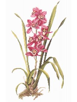 Eva Rosenstand ชุดปัก Red orchid