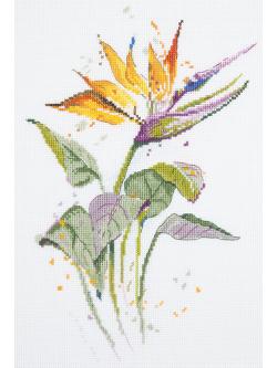 Panna ชุดปัก Bird of Paradise Flower