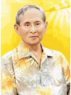 Pinn ในหลวง ร.๙