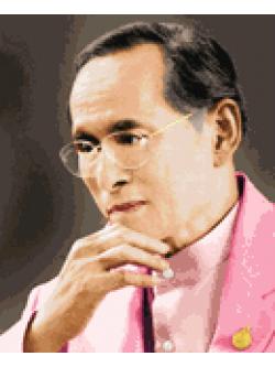 Pinn ในหลวง ร.๙ ฉลองพระองค์ชมพู (ภาพเล็ก)