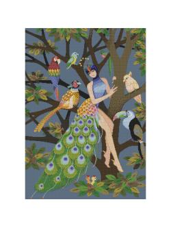 Pinn แพรวมยุรา