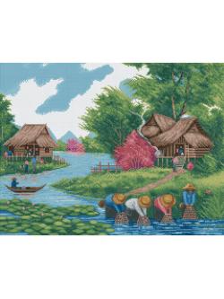 Pinn อุดมสมบูรณ์