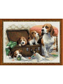 Riolis Canine Family