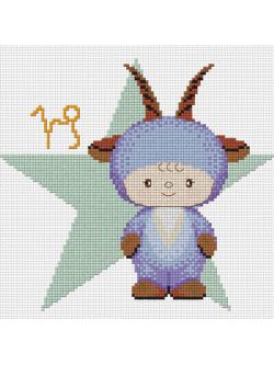 Pinn ราศีมังกร