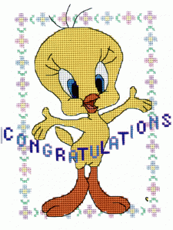 Pinn ชุดปัก Congratulations