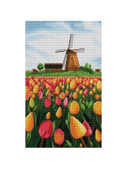 Pinn ดอกทิวลิป