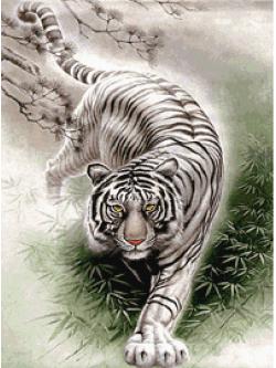 Pinn เสือขาว (เล็ก)