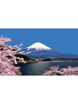 Pinn ภูเขาไฟฟูจิ