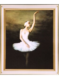 ชุดปักจีน Ballet Dance