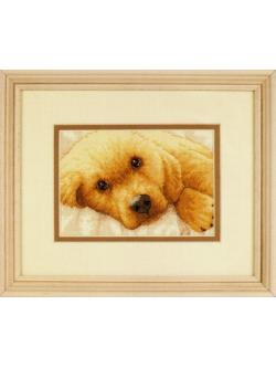 Dimensions ชุดปัก Golden Puppy