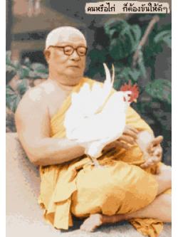 Pinn พุทธทาสภิกขุ