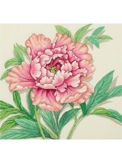 Panna ชุดปัก Vintage Peony