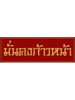 PINN มั่นคงก้าวหน้า