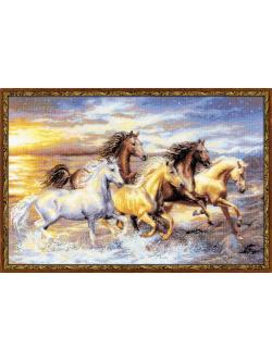 Riolis In The Sunset