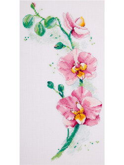 Panna ชุดปัก Orchid