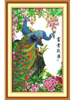 ชุดปักจีน Wealth Peacocks