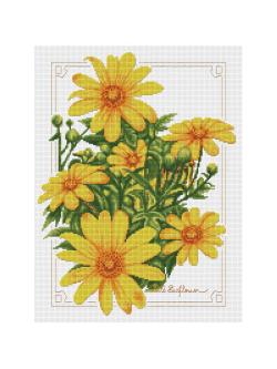 Pinn ดอกบัวตอง