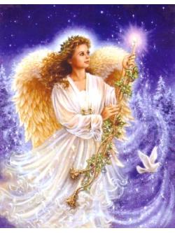 Heaven and Earth ผังลาย Stardust Angel