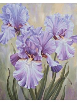 Heaven and Earth ผังลาย Mauve Irises