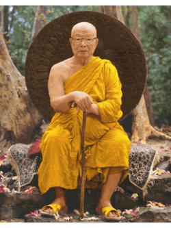Pinn พุทธทาสภิกขุ (แนวตั้ง ภาพกลาง)