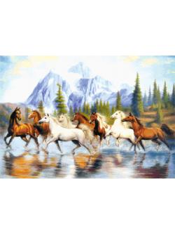 Pinn แปดอาชา