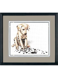 Dimensions ชุดปัก Achoo!