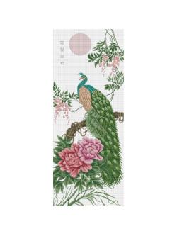 Pinn นกยูง