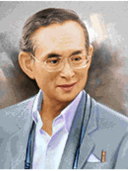 Pinn ในหลวง ร.๙