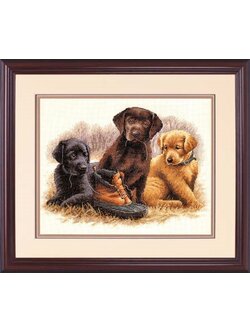 Dimensions ชุดปัก Chew Toy