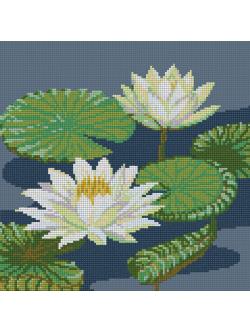 Pinn บัวขาว