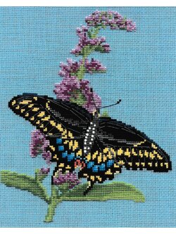 Pegasus ผังลาย Swallowtail Butterfly Bush