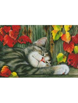 Heaven and Earth ผังลาย Mini Sweet Chap