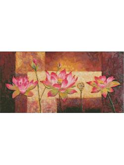 Heaven and Earth ผังลาย Lotus Flowers