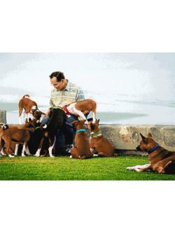 Pinn ในหลวง ร.๙ และสุนัขทรงเลี้ยง